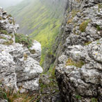 Oxnop Scar